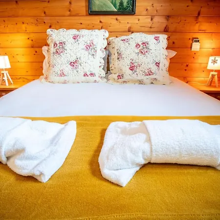 Bellevue Au Pied Des Pistes